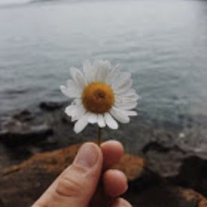 Meet your Posher, Annie